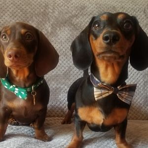 Meet your Posher, Edward